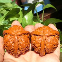 New play wild play hemp walnut lion head official hat special big Zheng three-sided three-track tendon three-track 50 special-shaped Special