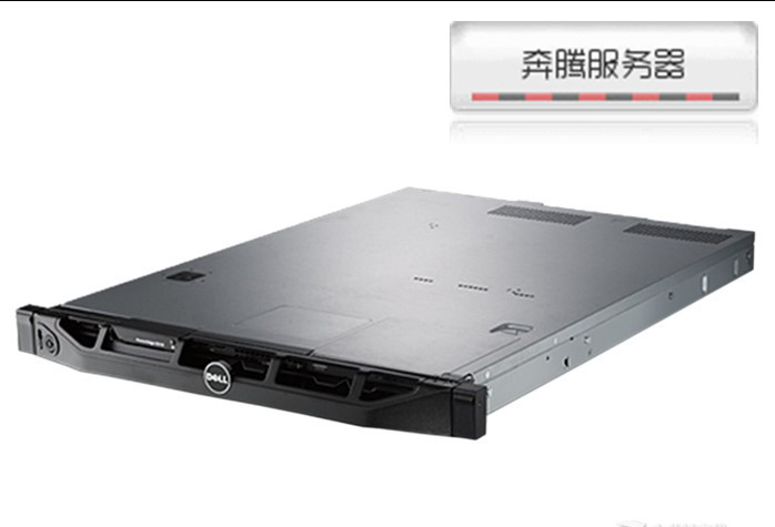 The DELL PowerEdge R310 server quasi-system R410 R610 R905 T610