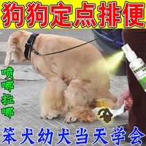 (Positioning that night) Dog fixed-point defecation inducer guides pets to go to the toilet dog urinating pad artifact