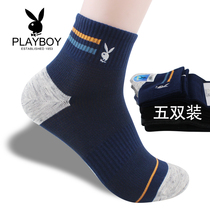 Playboy mens socks mens pure cotton four seasons autumn and winter comfortable sweat-absorbing breathable fashion sports leisure cotton socks