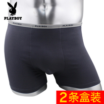 Playboy mens underwear mens boxer shorts modal breathable large size plain bottoming boxer shorts head mens clothing