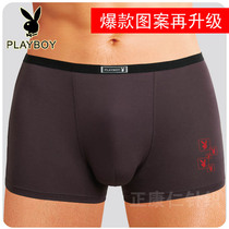 Gift Box Playboy Mens Underwear Modal Print U-Convex Mens Boxer Head Large Size Mens Underpants