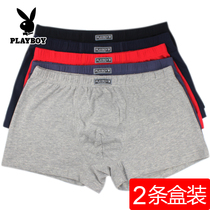 Playboy mens underwear cotton boxer large size mid-waist cotton breathable bottoms thin boxer shorts head male
