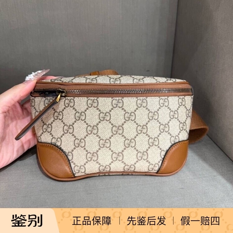 Gucci Gg Monogram Color-Blocked Waist Bag Crossbody Bag Double Zipper Chest Bag Unisex Small Size 821165