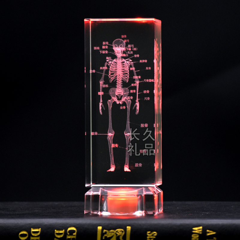 Crystal 3D Internal Carving of Human Skeletal Anatomy Teaching Model Ornament, Medical School Gift for Doctors and Classmates