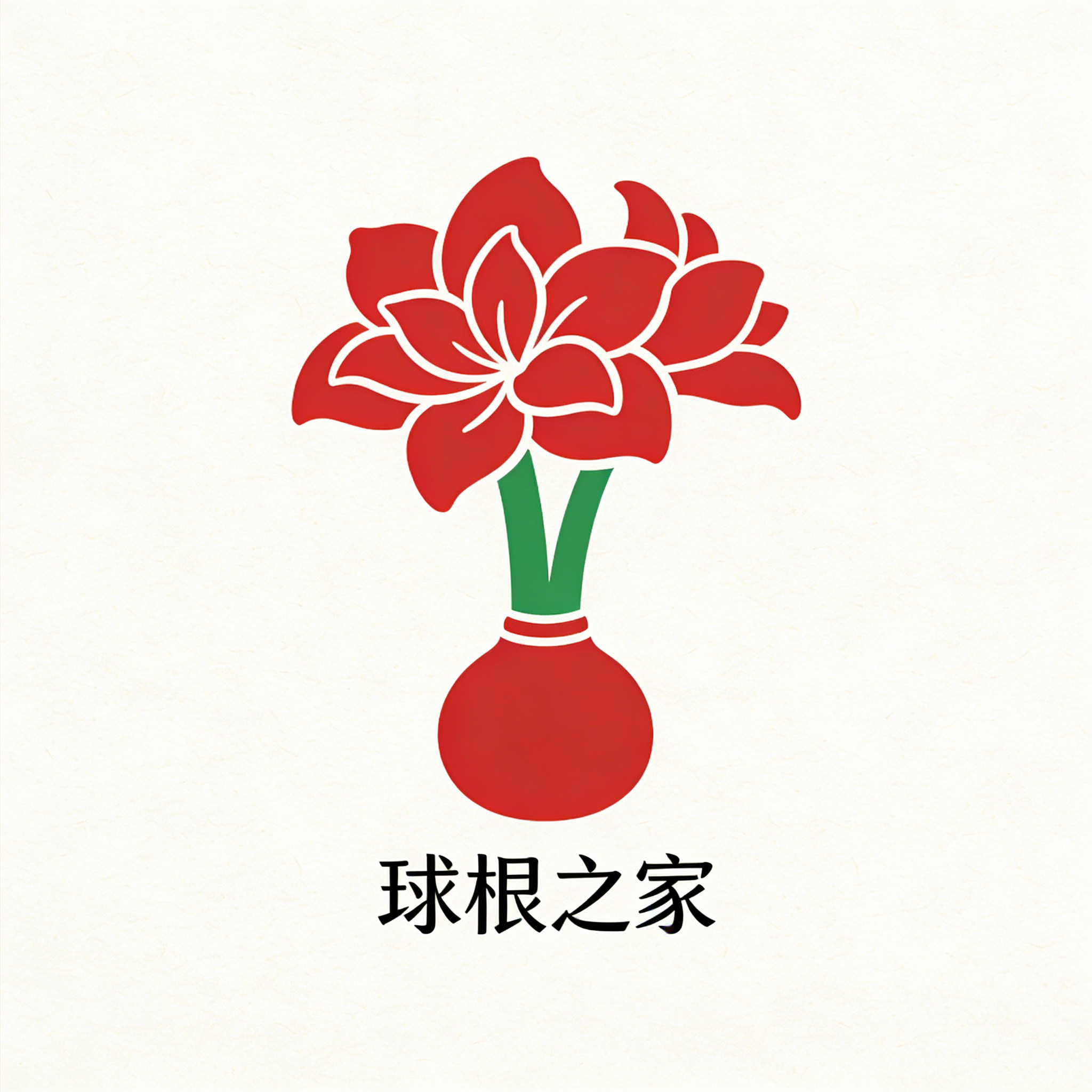 球根之家朱顶红的LOGO