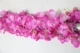 Hoa cẩm tú cầu mô phỏng, hoa lan, cây anh đào, hoa treo tường, hoa wisteria, hoa lụa, hoa giả, mây, trang trí đám cưới, dải hoa - Hoa nhân tạo / Cây / Trái cây đào giả