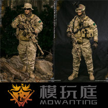 DAMTOYS 1 6 DAM78085 Red Wing Action Seal Special Forces snipers scheduled