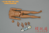 DID 80129 1 6 soldier model World War II US Army 77th Infantry Division captain Prime model