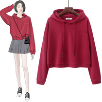 Port Wind Embroidery Net Red Hominin superfire 100 Lapped Short loose Even hat blouses women 2020 Fall new