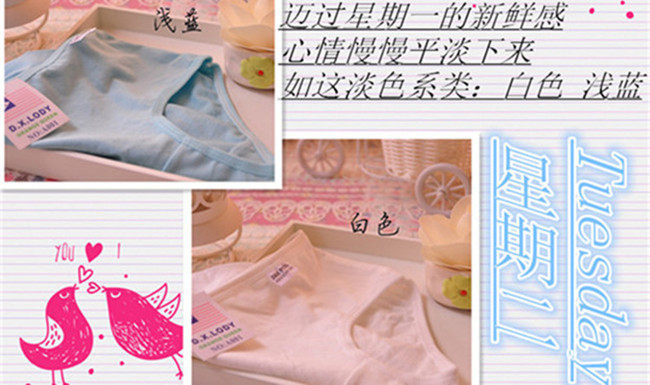 Slip jeune A001 en coton - Ref 642283 Image 17