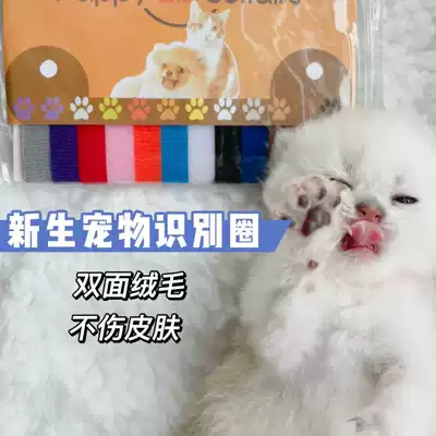 Newborn pet identification collar Little puppy collar cat identification ring identification neck strap pet