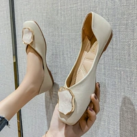 Абрикос (следите за подарками)