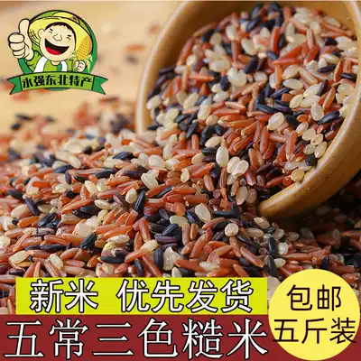 Northeast three-color brown rice 5 kg brown rice Fitness five-grain rice coarse red rice black rice Brown rice germ fat reduction rice