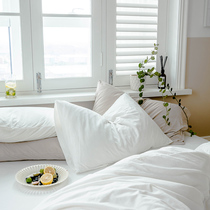 Japanese-style guinea pig cotton pillowcase cotton pillowcase knitted cotton cotton single pillowcase 48x74cm one suit