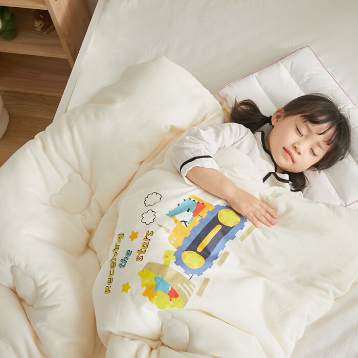 High-end Minjuku Hotel Raw Cotton Soybean Fiber Quilt Winter Quilt With Thickened Warm Children Quilt Core Single Spring Autumn Cotton Quilt