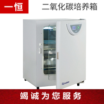 BPN-240RWP constant BPN-190RHP carbon dioxide incubator BPN-80RHP BPN-150RHP