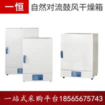 BPG-9040A BPG-9070A BPG-9140A BPG-9240 of a constant electrothermal thermostatic blast drying oven