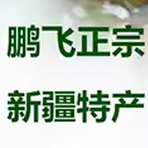 鹏飞正宗新疆特产店的LOGO