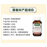 Австралия Thompsons Thompson Виноградные семена 120 виноград