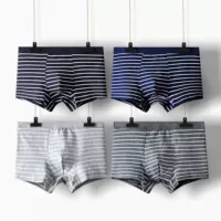 Đồ lót nam 4 cotton nam boxer cotton thấm hút mồ hôi thanh niên trung eo thể thao boxer thủy triều phiên bản Hàn Quốc quần lót đùi