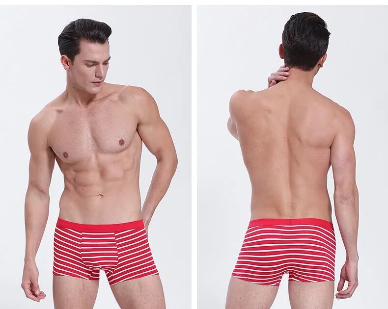 4 tải Nhật Bản sọc nam đồ lót nam boxer cotton thanh niên thoáng khí thoải mái cotton vuông đầu quần lót con voi