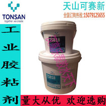 Kesaixin TS818 Ceramic Sheet Epoxy Structural Adhesive 10kg Metal Stone Wood Adhesive Glue