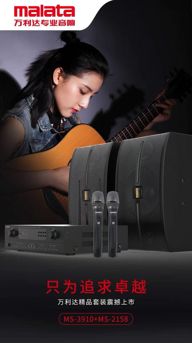 Vanlida Family KTV Acoustics Suit Professional Meeting Dance Room Chair Kabbag Full Range Of Speakers