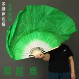 Поклонник танца увеличивает фанат танце