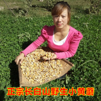 Northeast Changbai Mountain wild yellow mushroom small yellow mushroom dry goods 2021 new goods 50 yuan 250 grams 500 grams