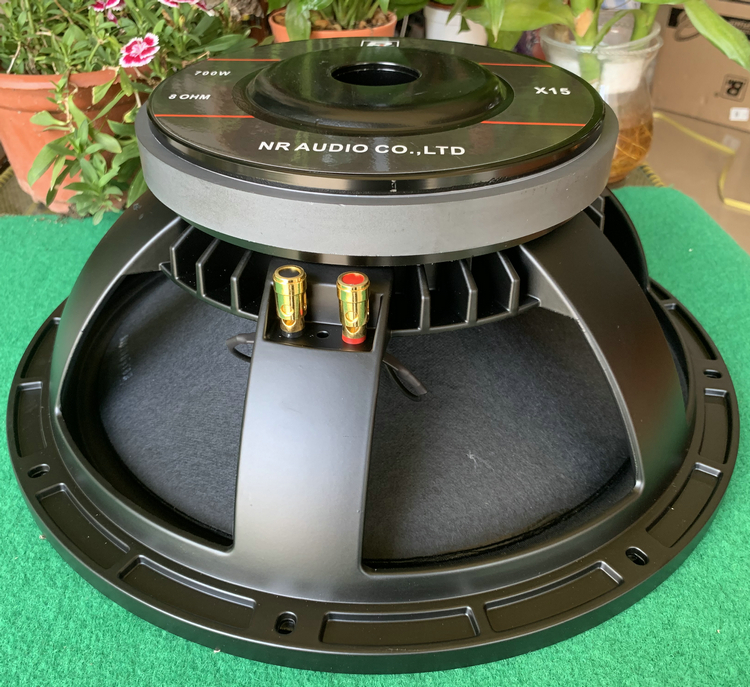 Only earned sales Retton 220 Magnetic 100 Core Professional High Power Performance Outdoor 15-inch bass horn
