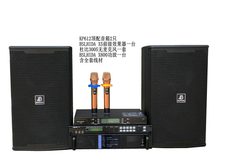 Debugging - free conscience configuration 12 inch commercial household KTV suit high quality professional karaoke suit