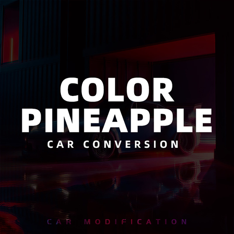 Color Pineapple 车改