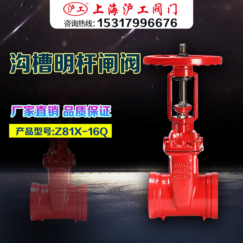 Shanghai Shanghaiwork Valve Z81X-16Q DUCTILE IRON GROOVE Ductile Soft Seal Fire Gate Valves DN50 65 80