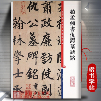 Zhao Mengs Book of Books AvenQius Tomb Tomb Epithems Colorful Magnified this Chinas famous inscription Sun Baowen editor Zhao body The calligraphy and writing brush wordbook Shanghai Calligraphy Book Publishing House