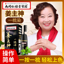 Ginger Juice Plant Dye Hair Cream Cover White Hair One Comb Coloring Hair Dye Yourself At Home Dyed Hair 2022 Pop Black