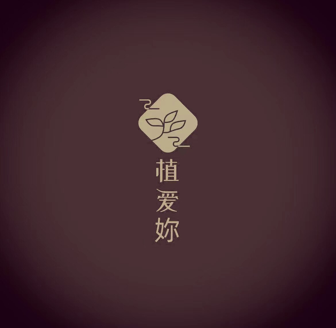 植爱妳2