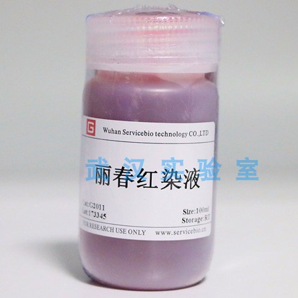 Servicebio 丽春红染液 用于PVDF膜/硝酸纤维素膜/醋酸纤维蛋白测