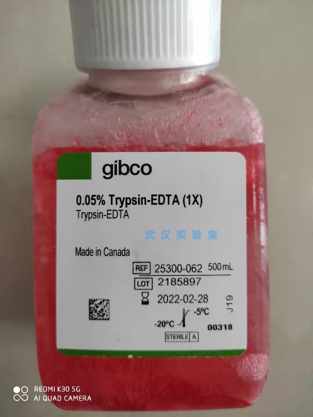 Thermo Trypsin-EDTA (0.05%), phenol red 25300062 特价包邮