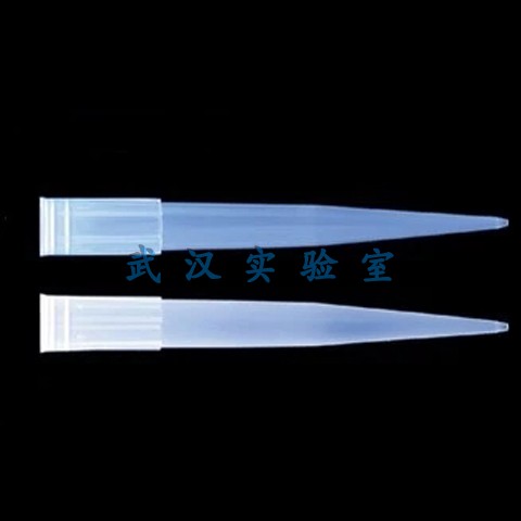 美国Axygen 300ul无色吸头T-350-C 1000支/10包/箱 库存现货 发票