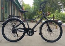 Giant Momanton Axi 330 station wagon 24-speed disc brake front and rear shelves aluminum frame