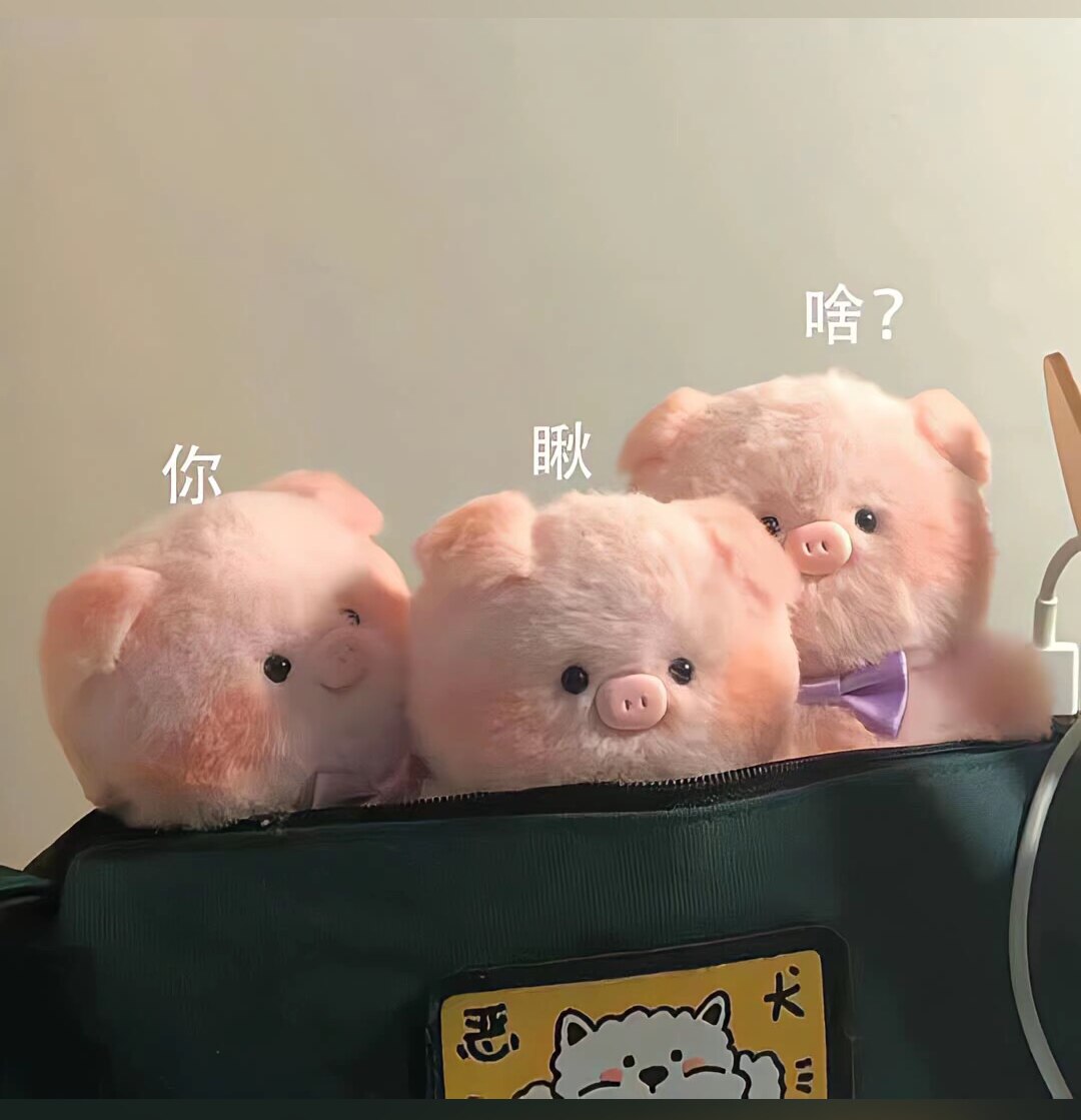 珠珠精致女鞋