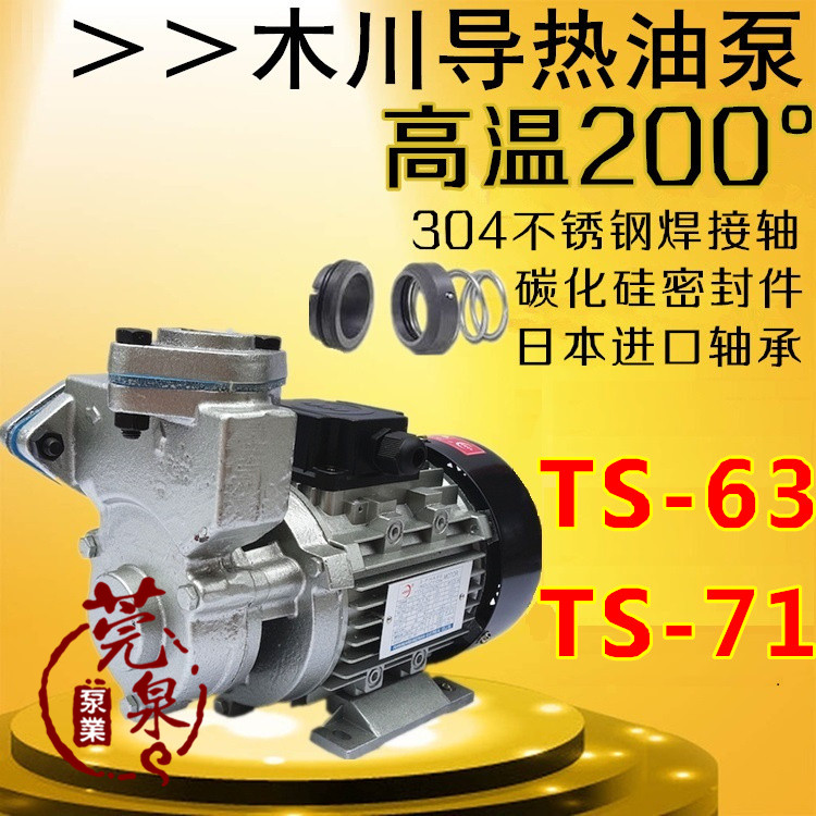 TS 63 71 90 heat conductive high temperature pump heat - conducting high temperature pump heat - resistant 200 - degree supercharged pump single phase