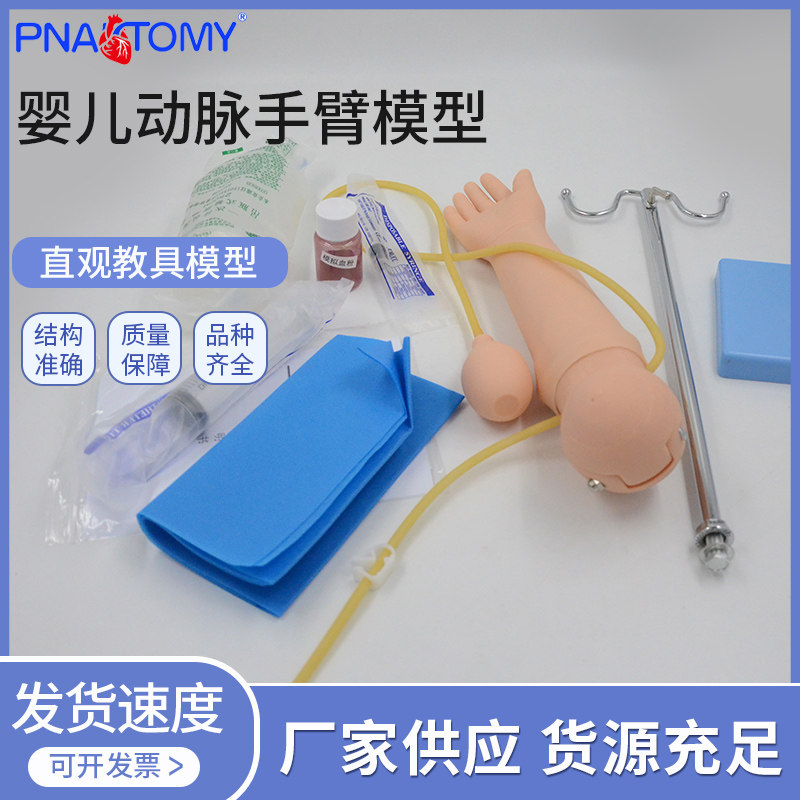 医学教学婴儿动脉手臂模型仿真婴儿儿科动脉穿刺采血实训演示教具