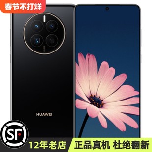 Huawei Mate 50E Pro с системой Hongmeng