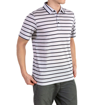 Summer New Pint Mens Merino Wool Short Sleeve Polo Stripes 150g Fried Thin 90 Twin Yarn Zero Zal Sensation Fabric