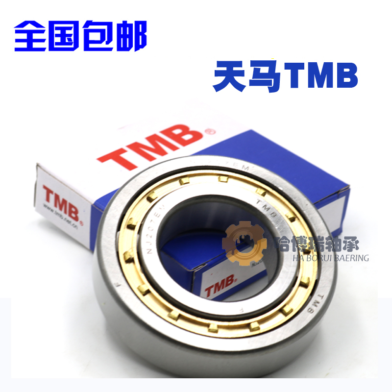 Tianma TMB bearing N NU NJ RN NUP 206 207 208 209 210EM M C3