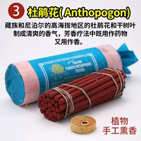 Rhododendron Anthopogon короткий аромат