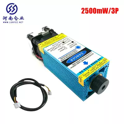 2500MW high power laser engraver human head model group Blue Purple light cutting 2 5W laser head laser ejector