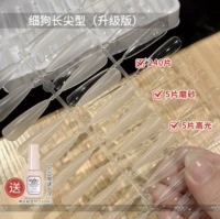 ⭐⭐⭐⭐【 Slim Dog Long Tip Eingrad